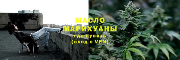 хмурый Аркадак