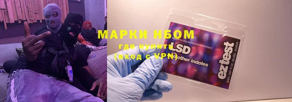 хмурый Аркадак