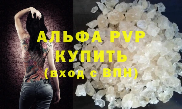 хмурый Аркадак