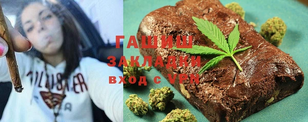 хмурый Аркадак
